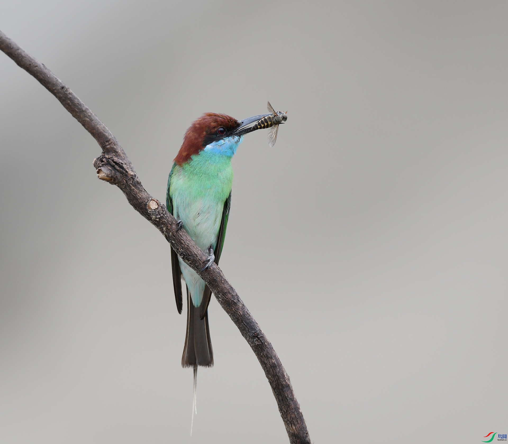 DSC_0617.jpg