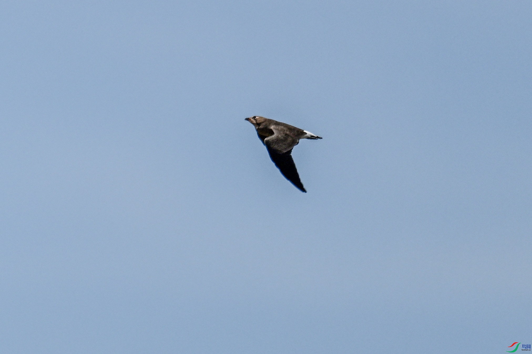 DSC_4977.JPG