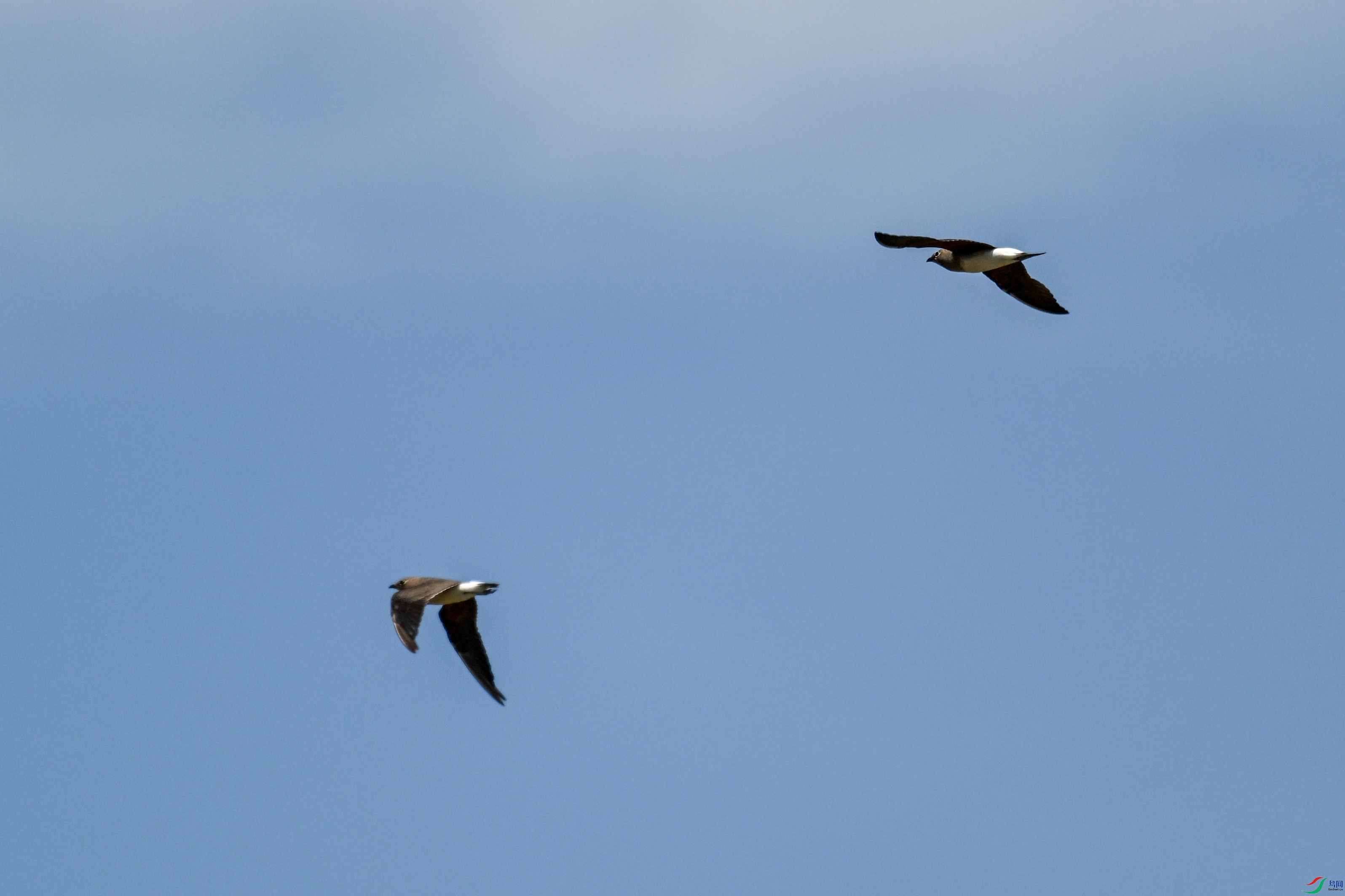 DSC_4981.JPG