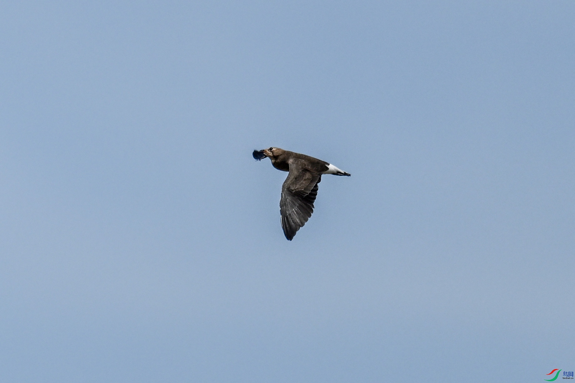 DSC_4976.JPG