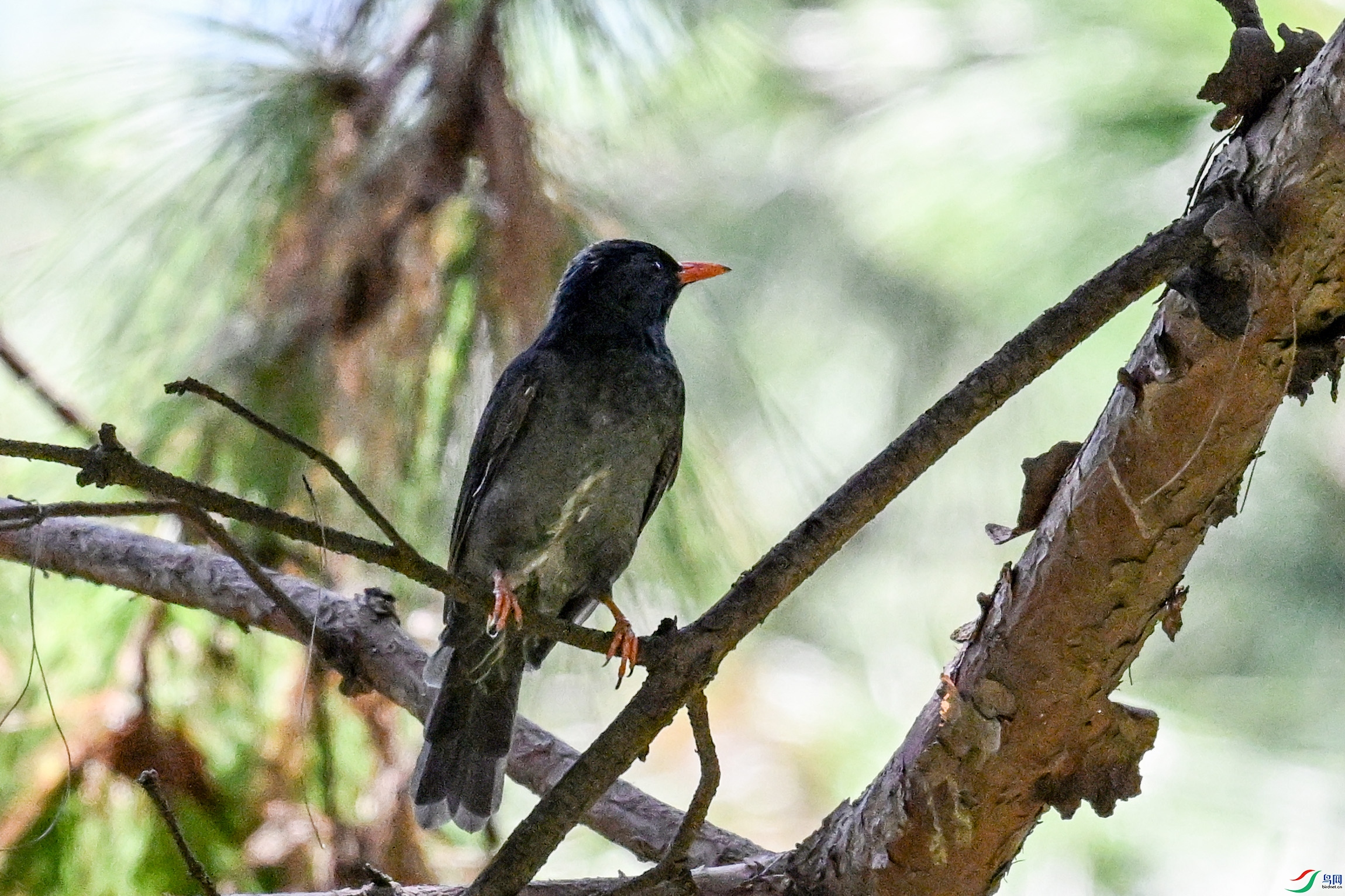 DSC_4982.JPG