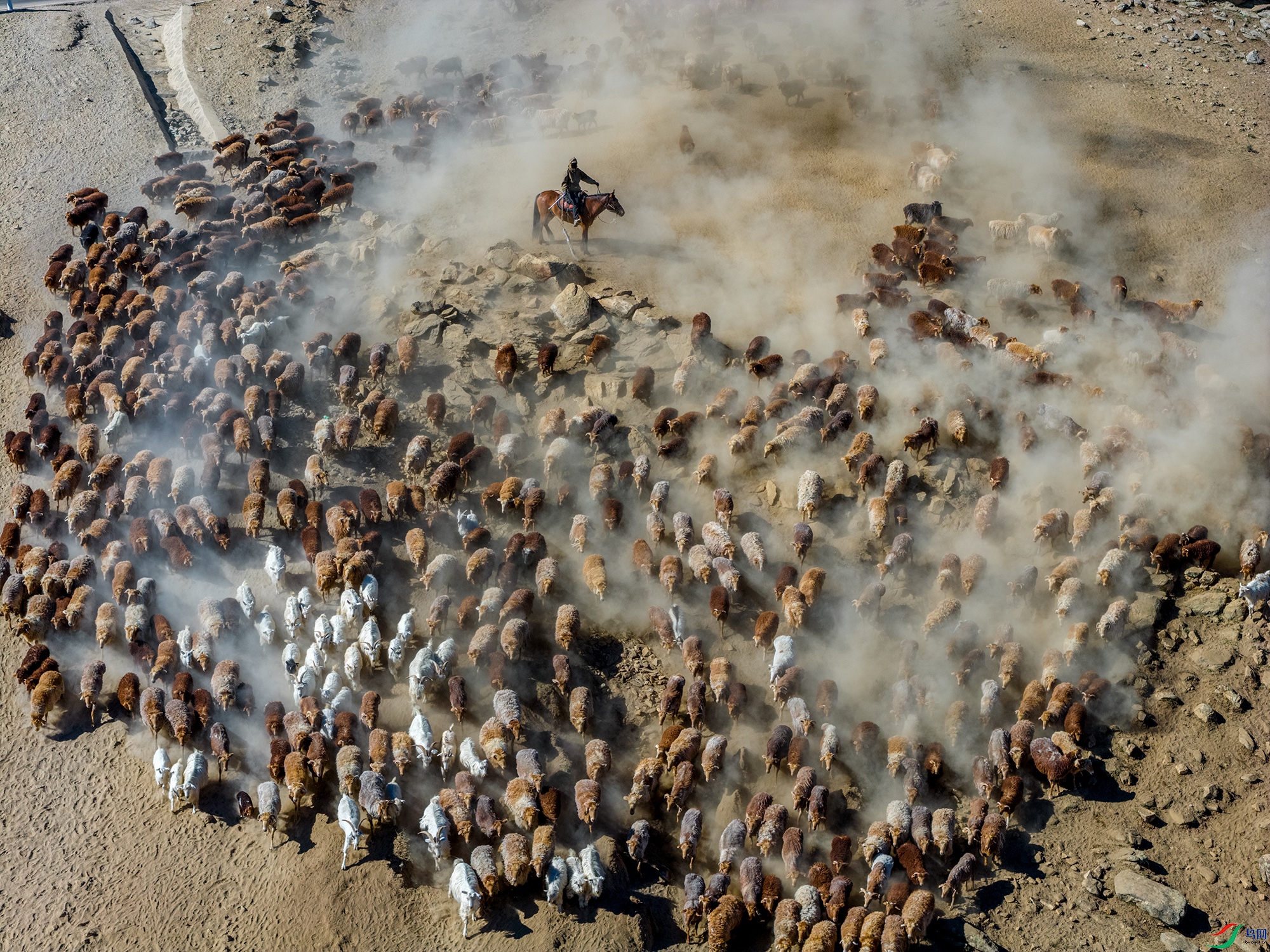DJI_20260610102125_0133_D-1 ����.jpg