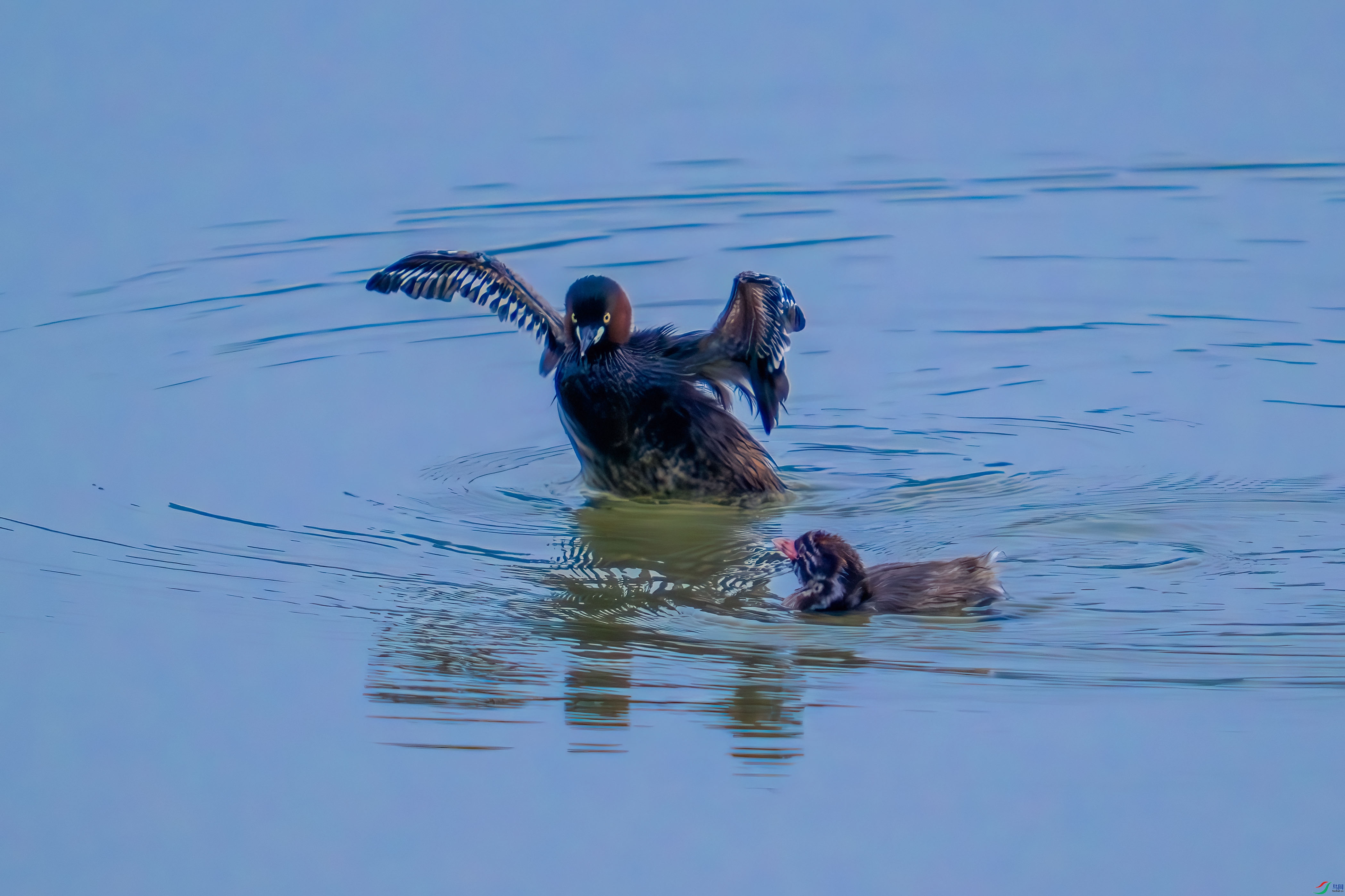 _DSC8509.jpg