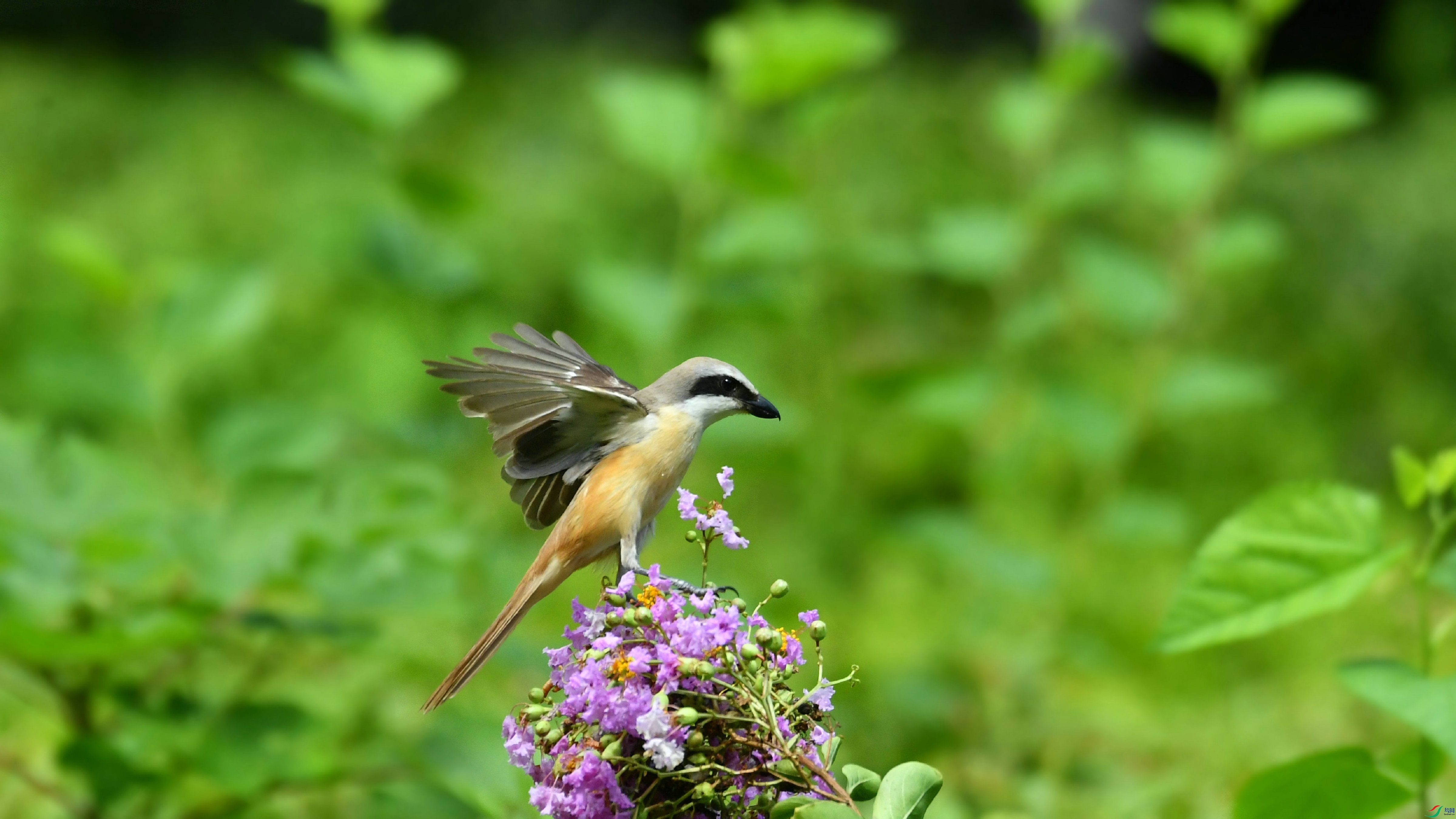 DSC_8975.JPG