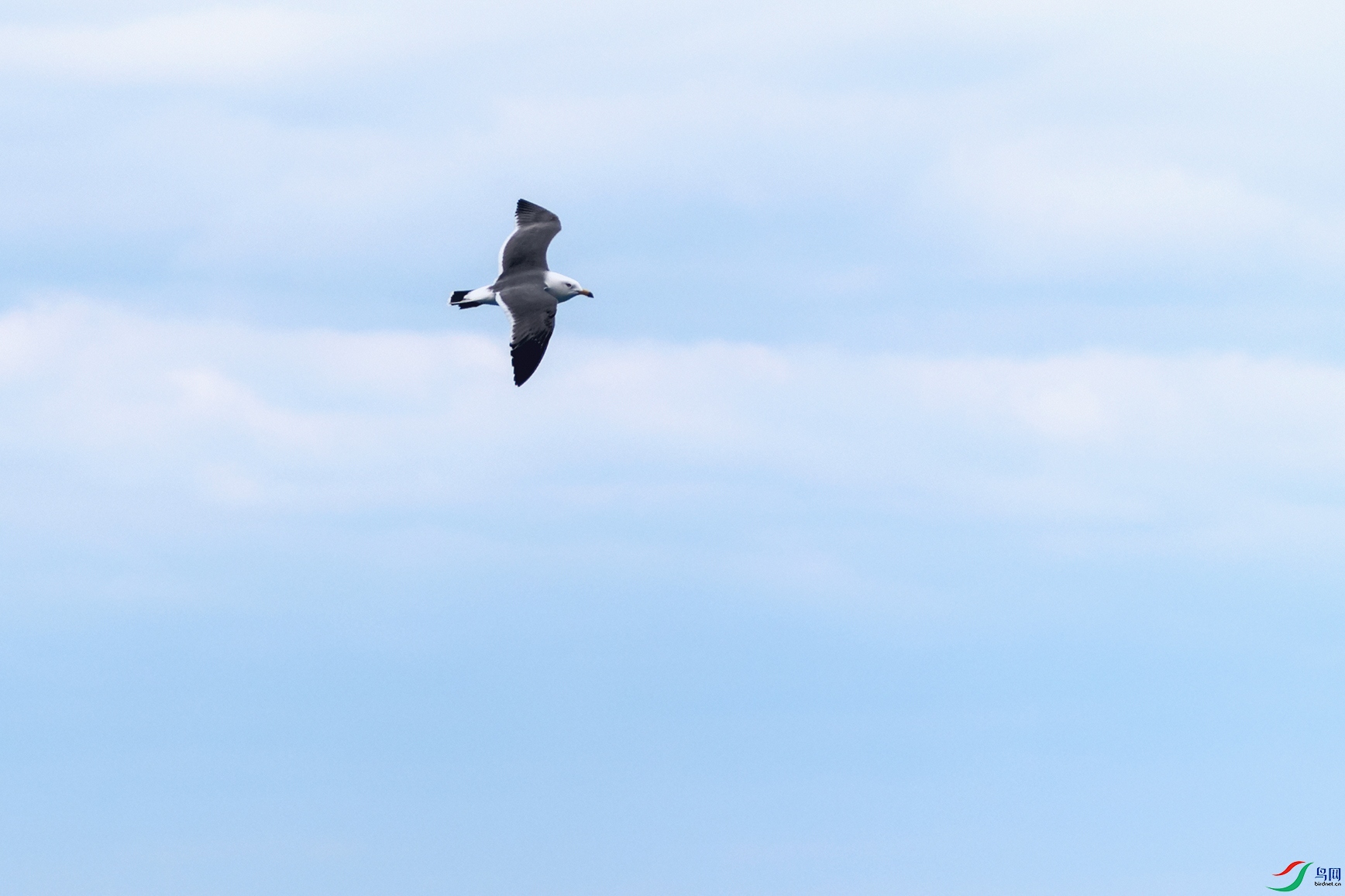 DSC_0725_DxOa.jpg