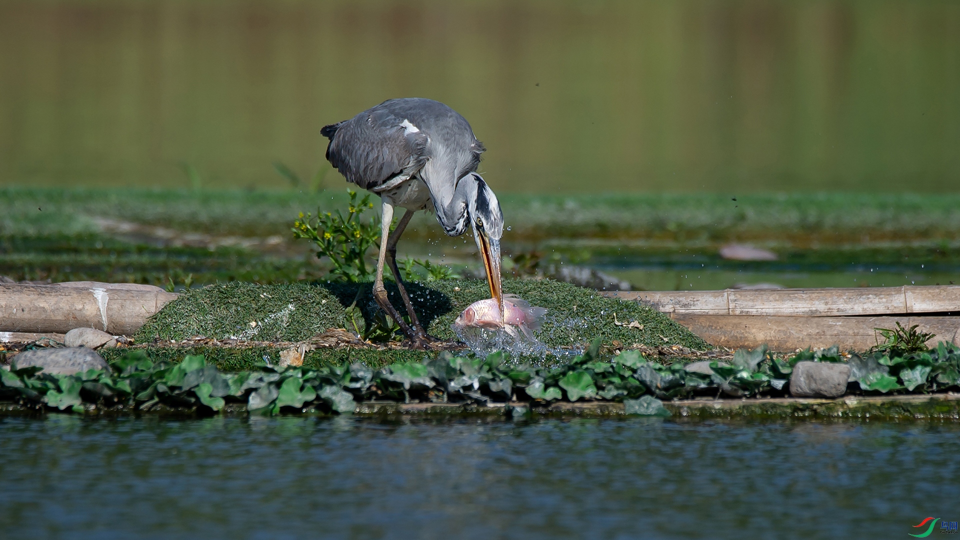 _DSC1680-20220521�ü�.jpg
