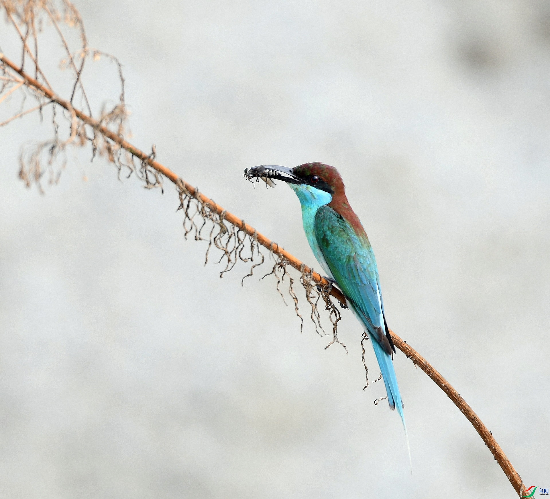 DSC_1158.jpg