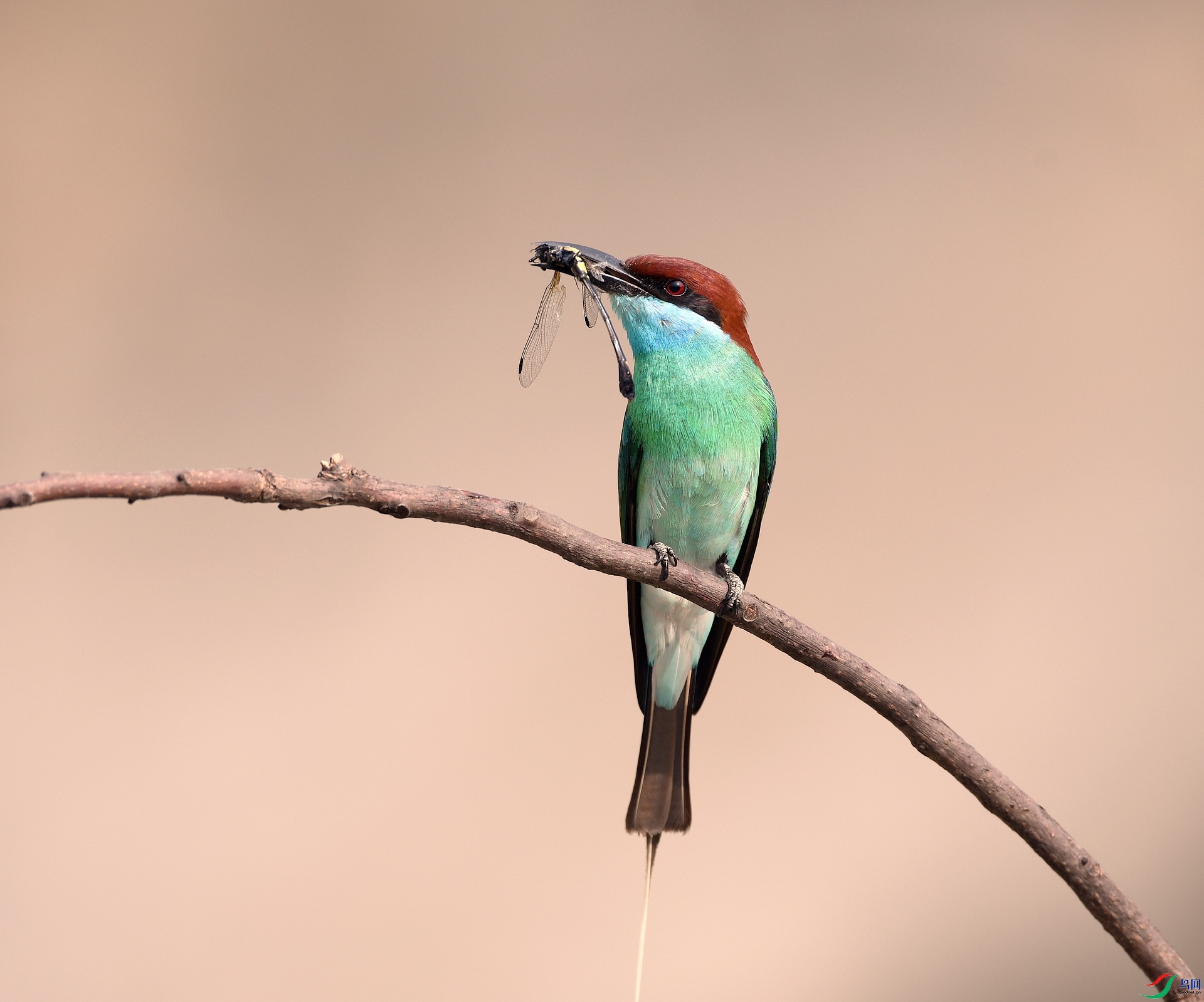 DSC_1192.jpg