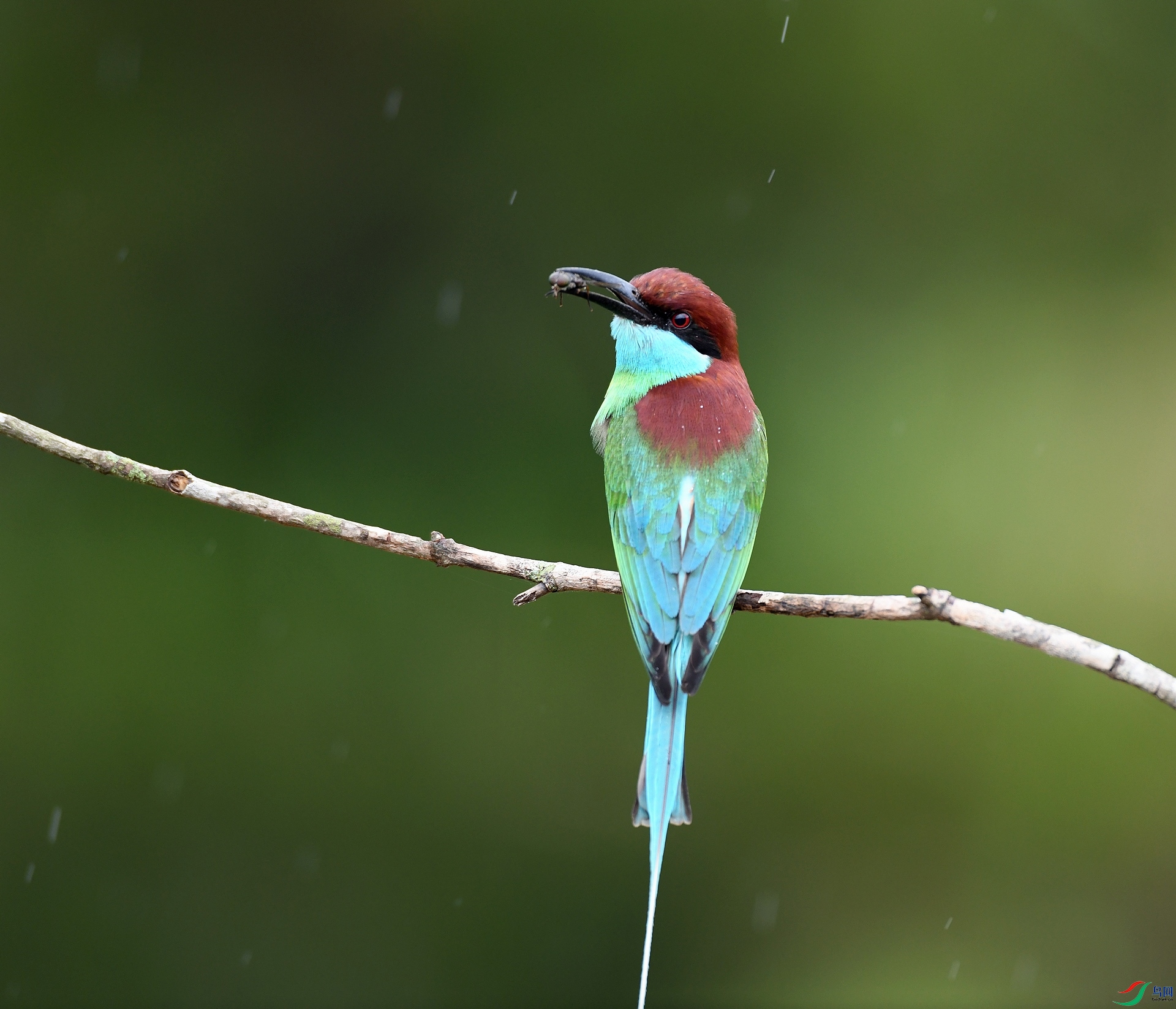 DSC_1531.jpg