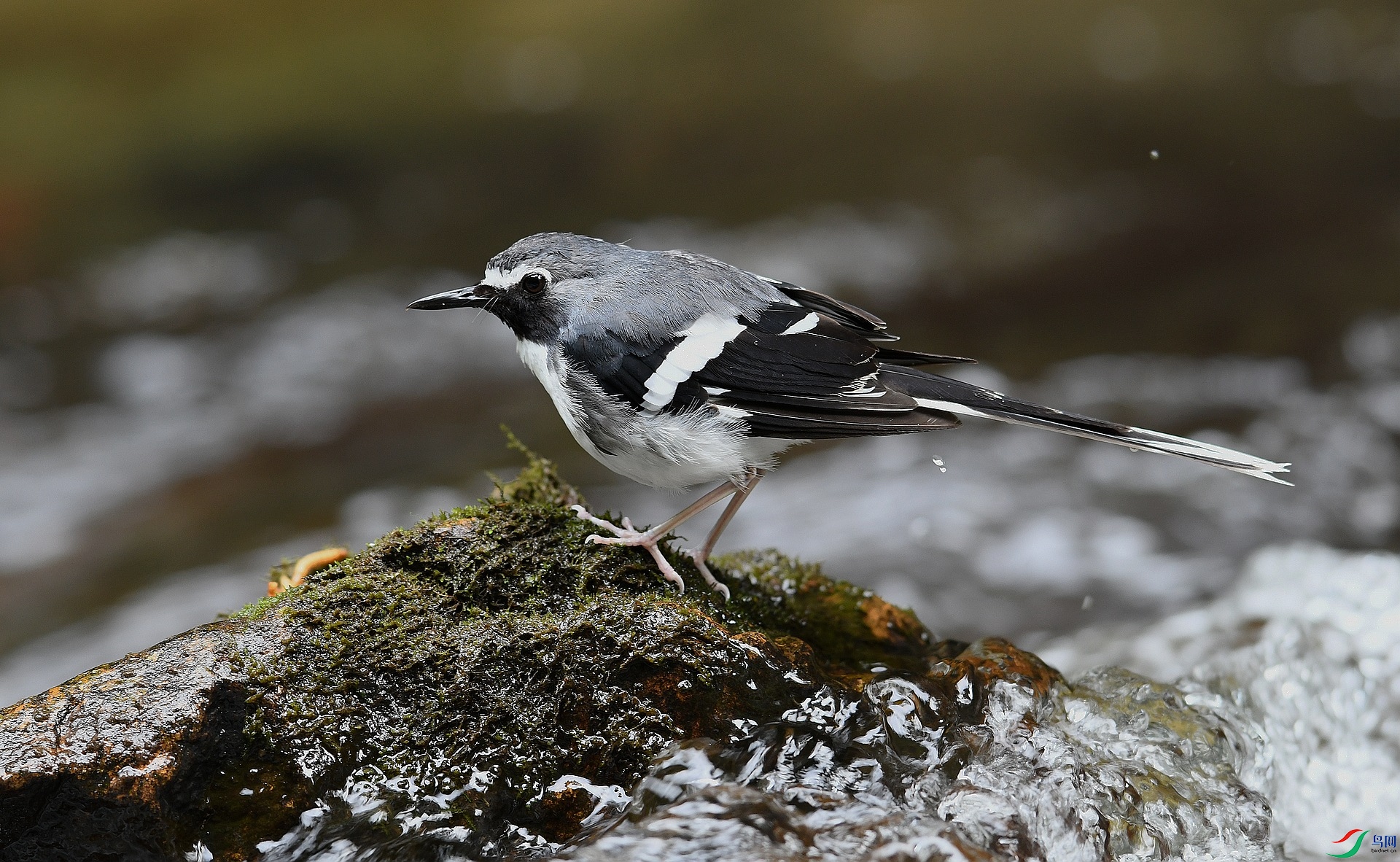 DSC_3635.jpg