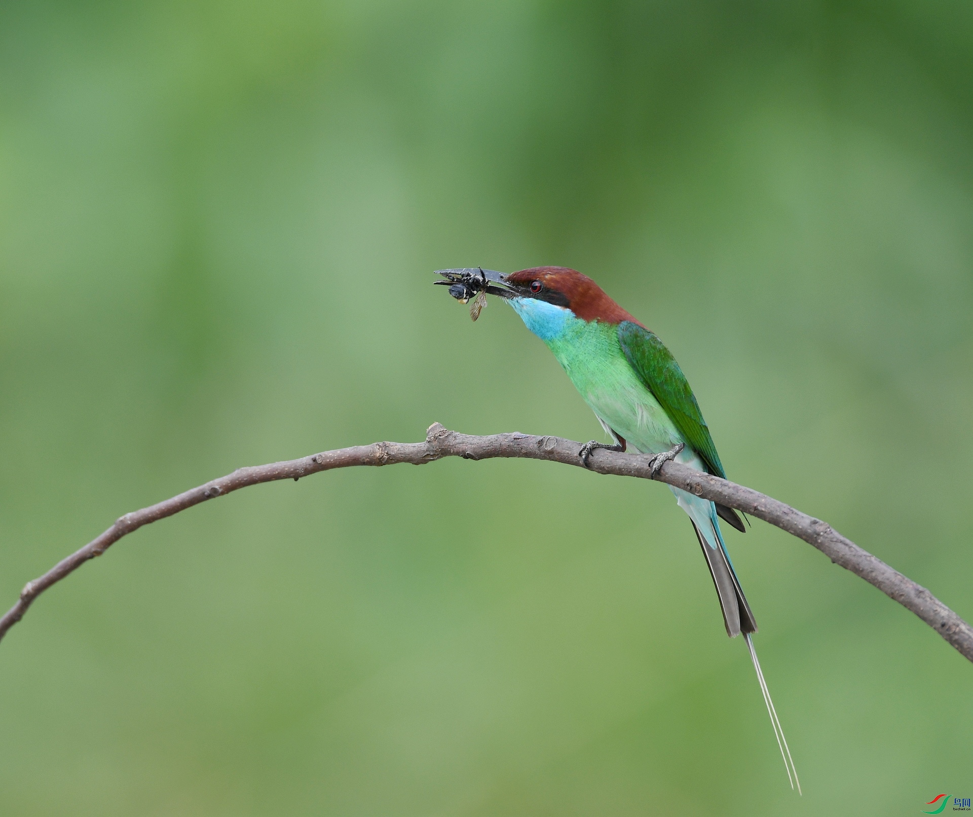 DSC_1144.jpg