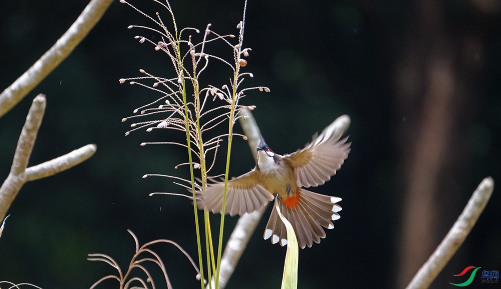 DSCF9249.1.jpg