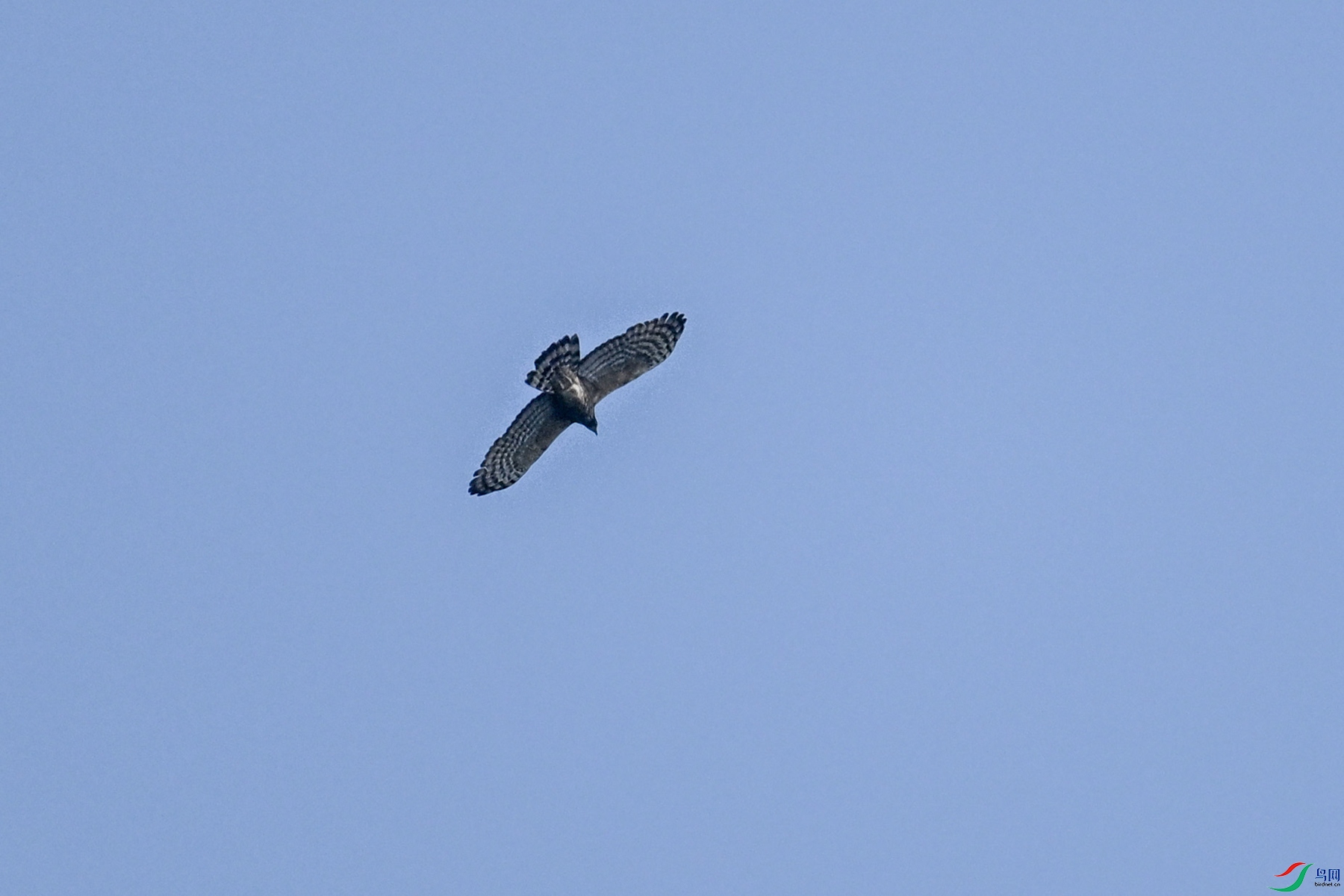 DSC_5529.JPG
