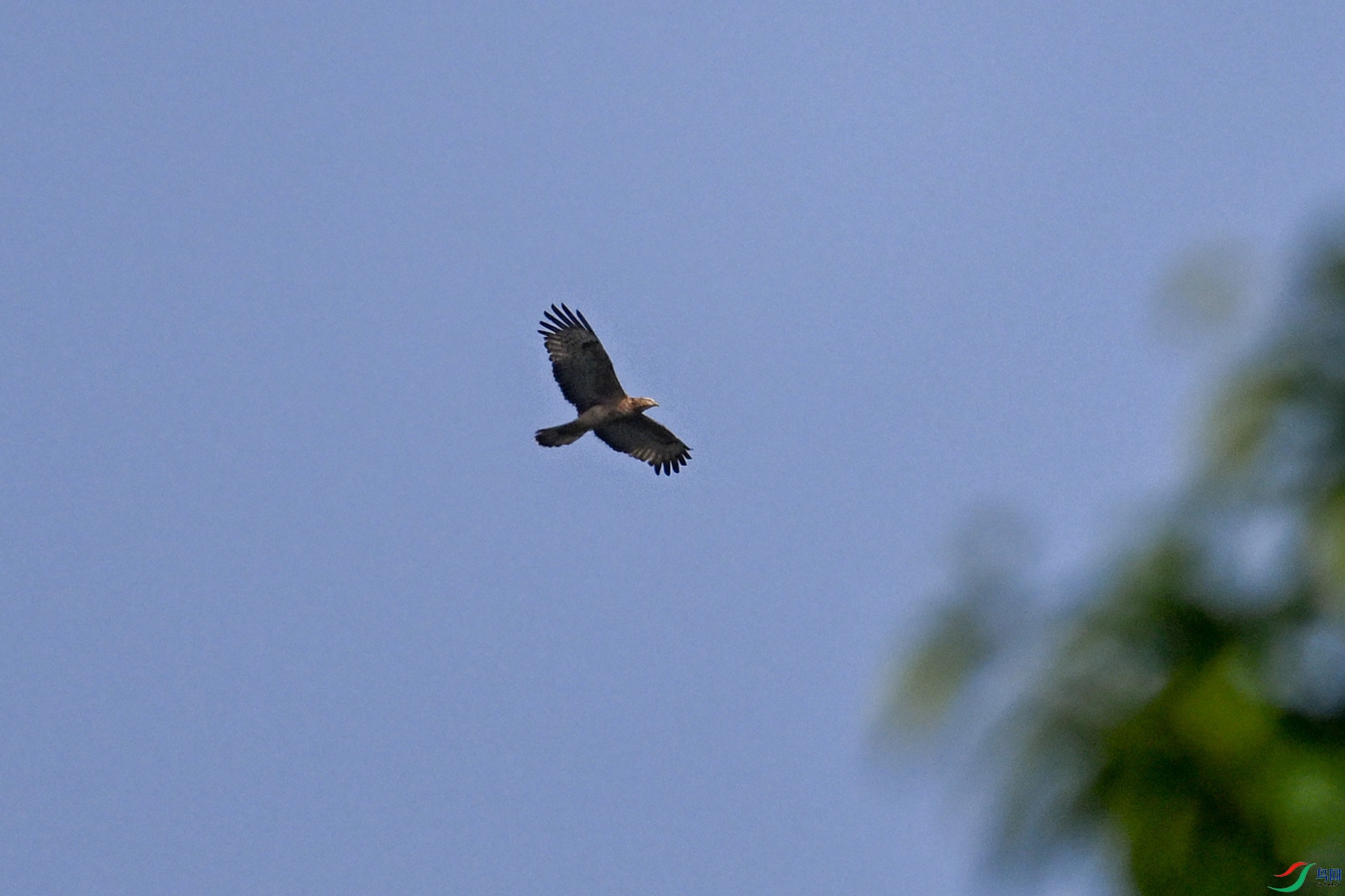 DSC_5552.JPG