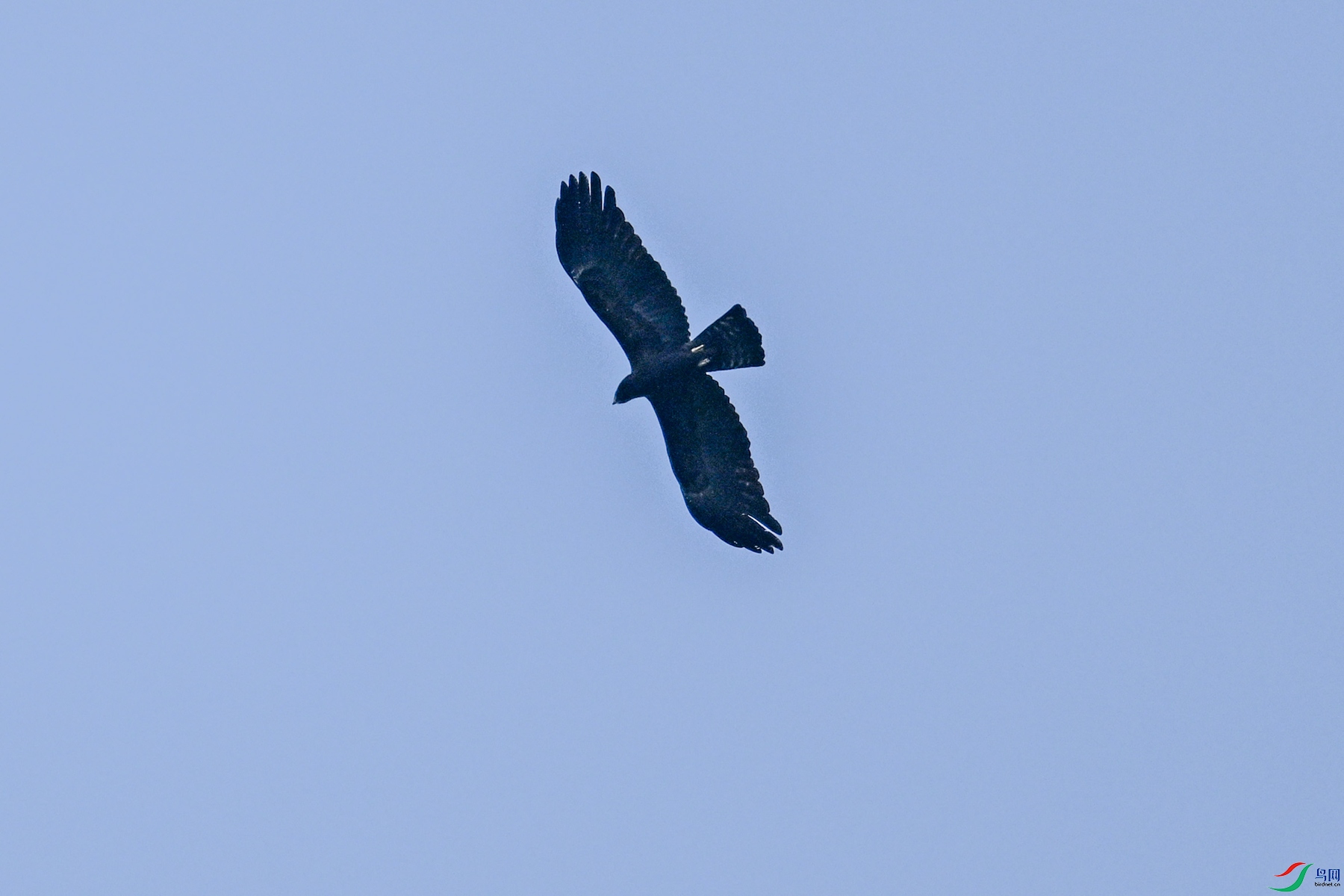 DSC_5531.JPG