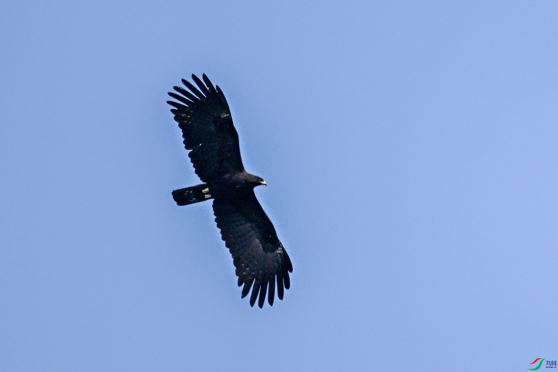 DSC_5557.JPG