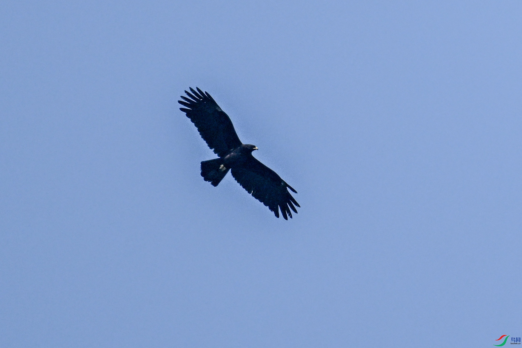 DSC_5533.JPG