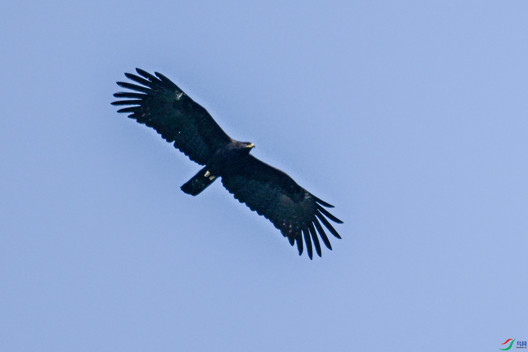 DSC_5564.JPG