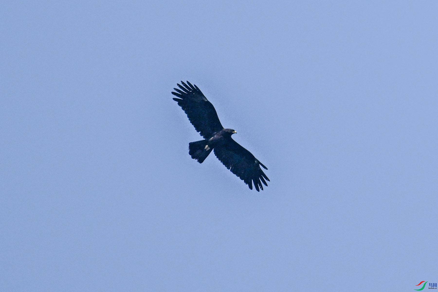 DSC_5534.JPG