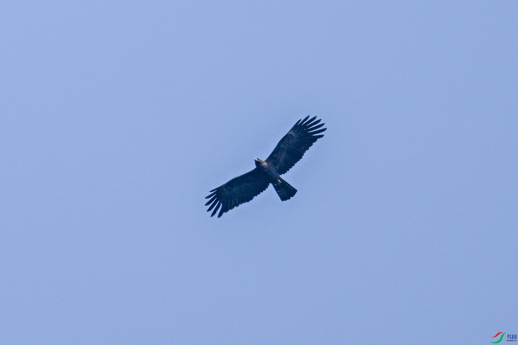 DSC_5536.JPG