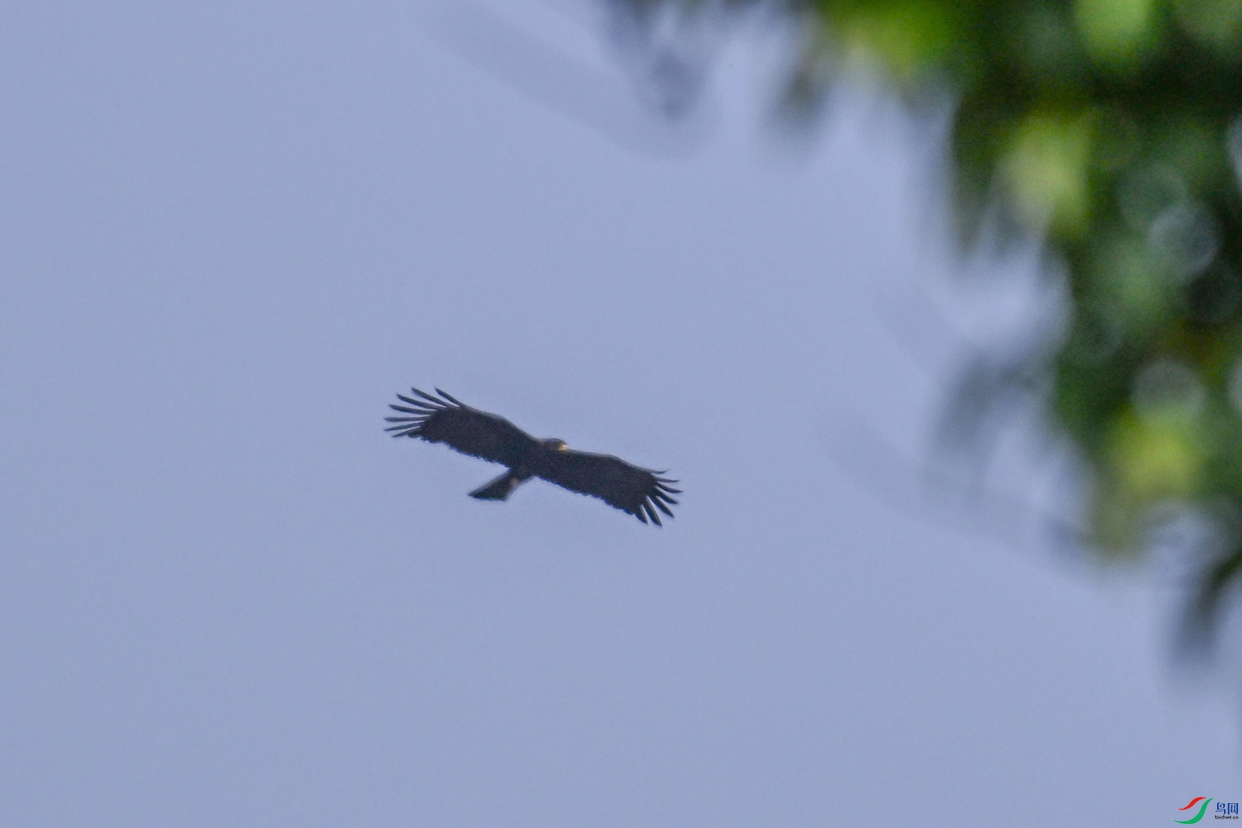 DSC_5569.JPG