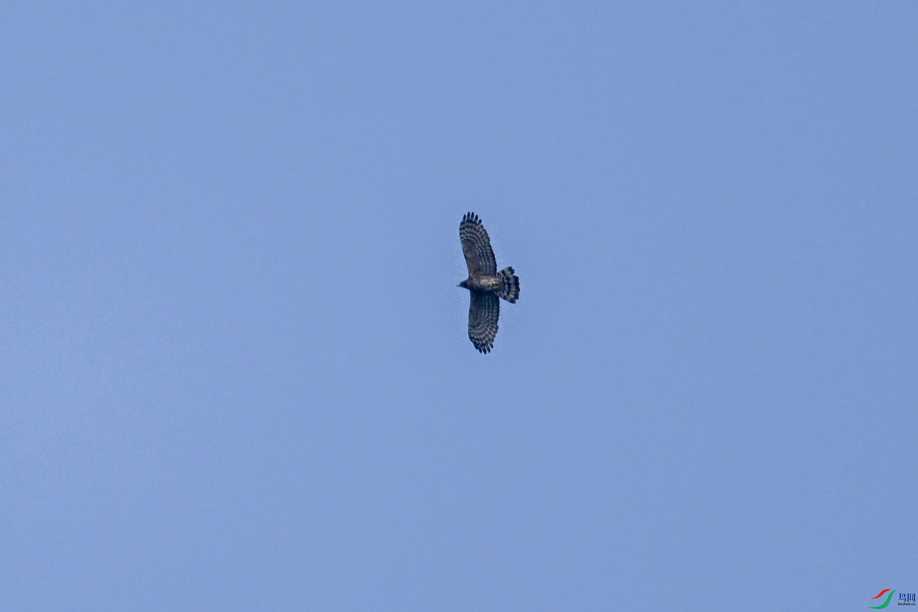 DSC_5538.JPG