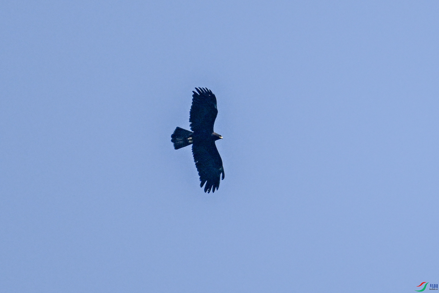 DSC_5540.JPG