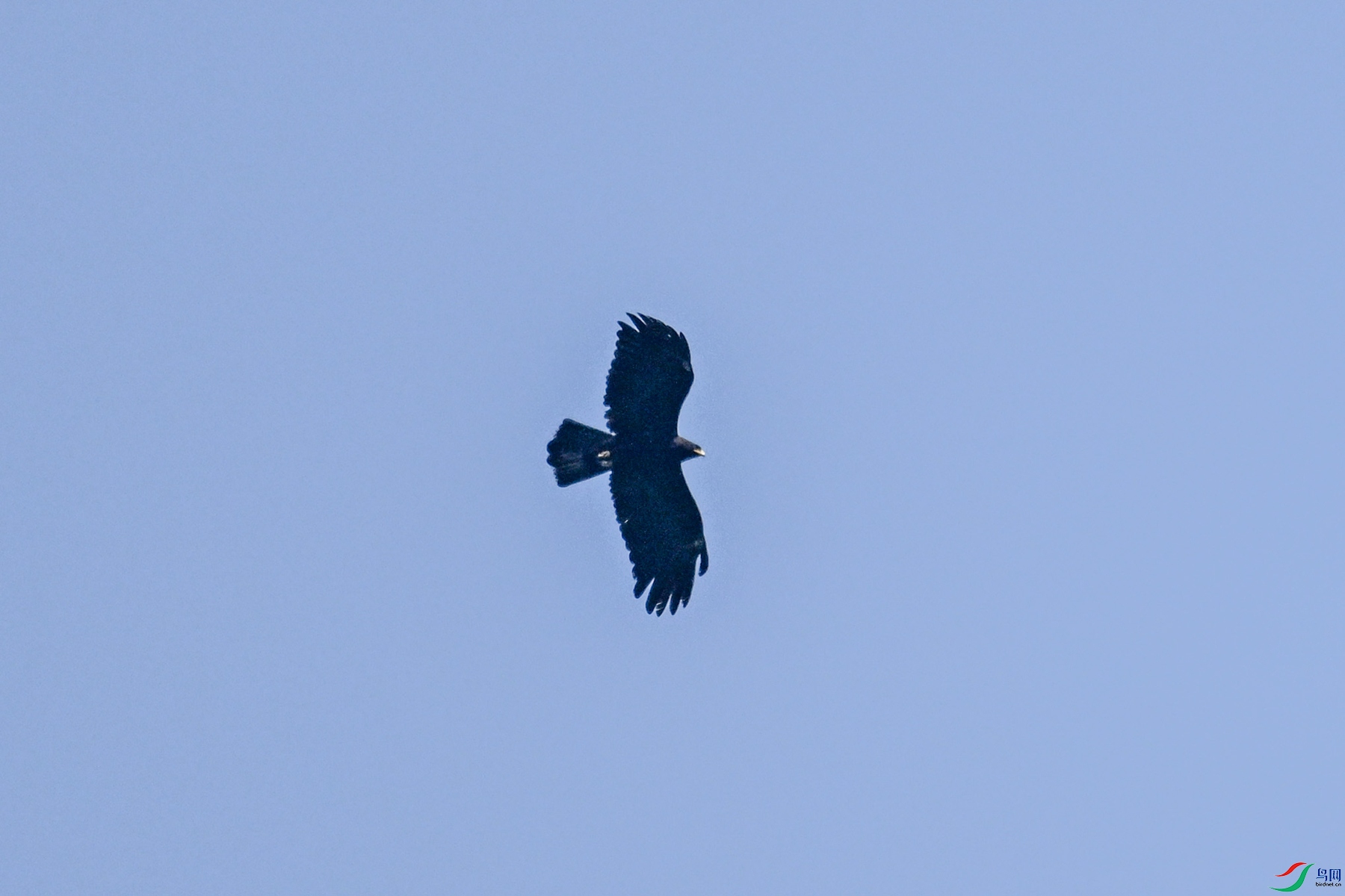 DSC_5542.JPG