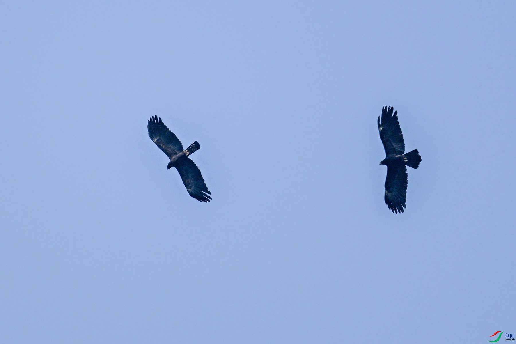 DSC_5546.JPG