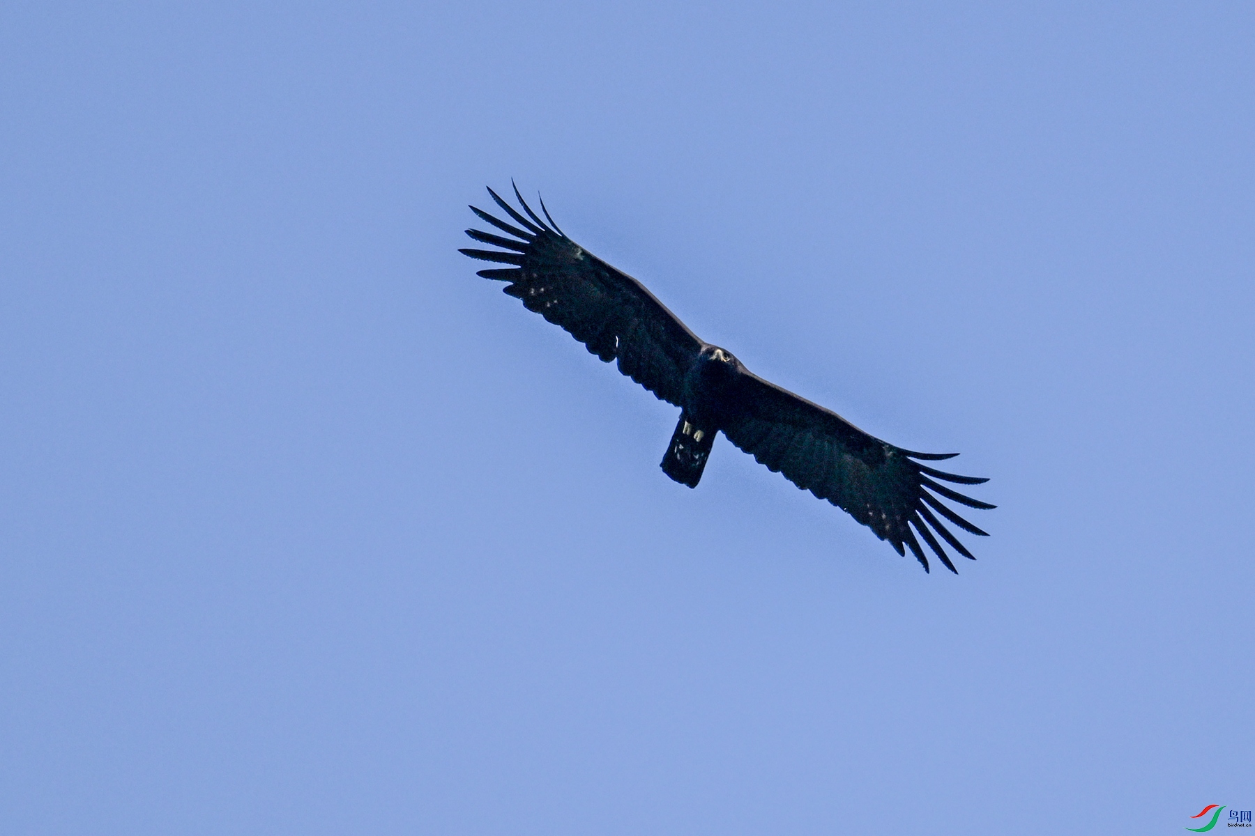 DSC_5553.JPG