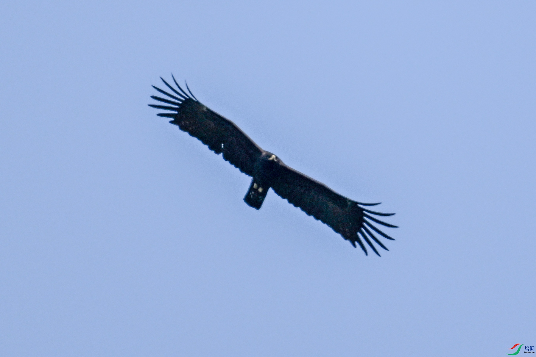 DSC_5561.JPG