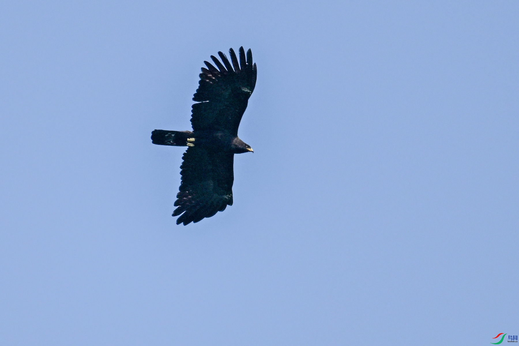 DSC_5568.JPG