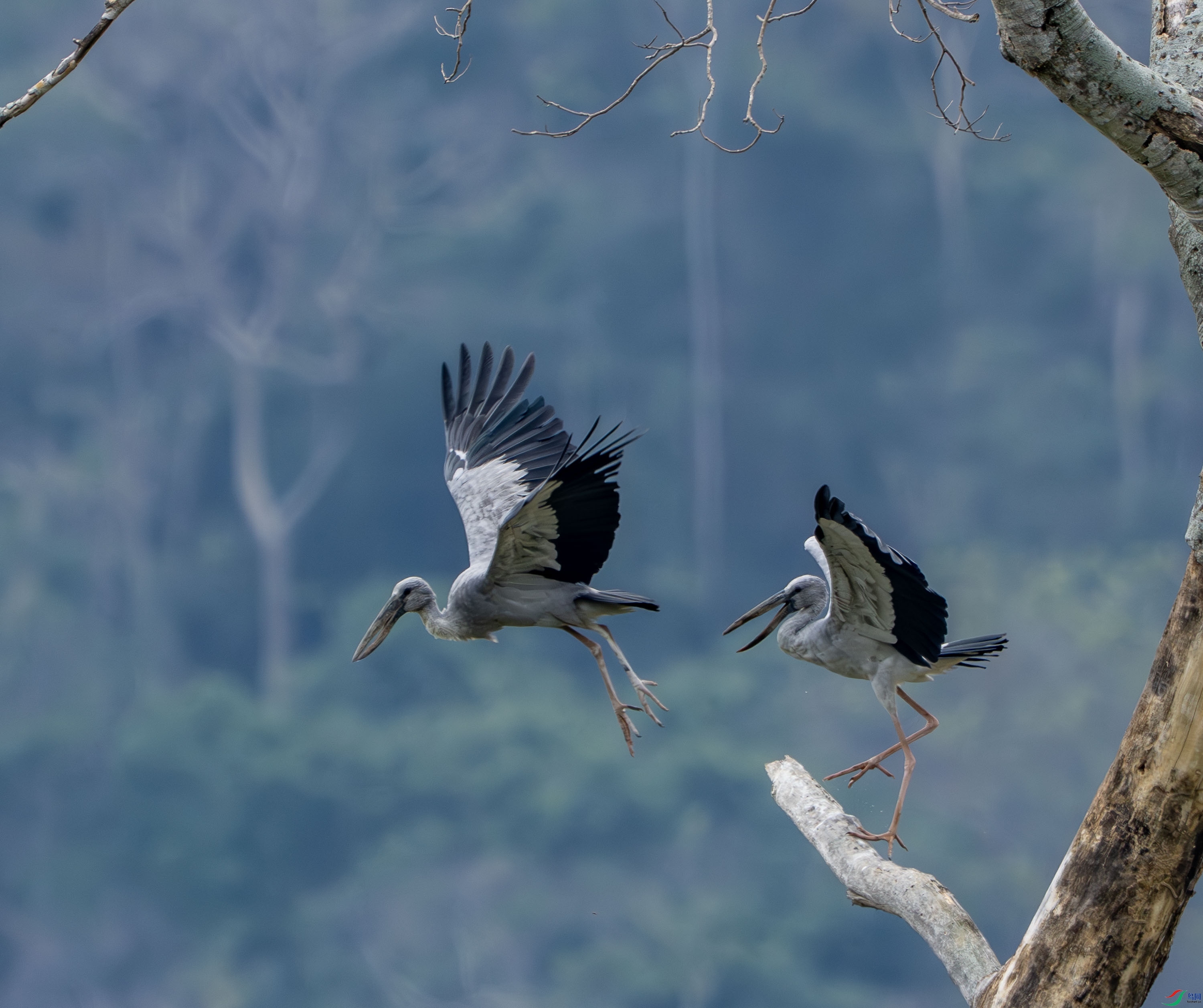 ǯ����-16-2.jpg