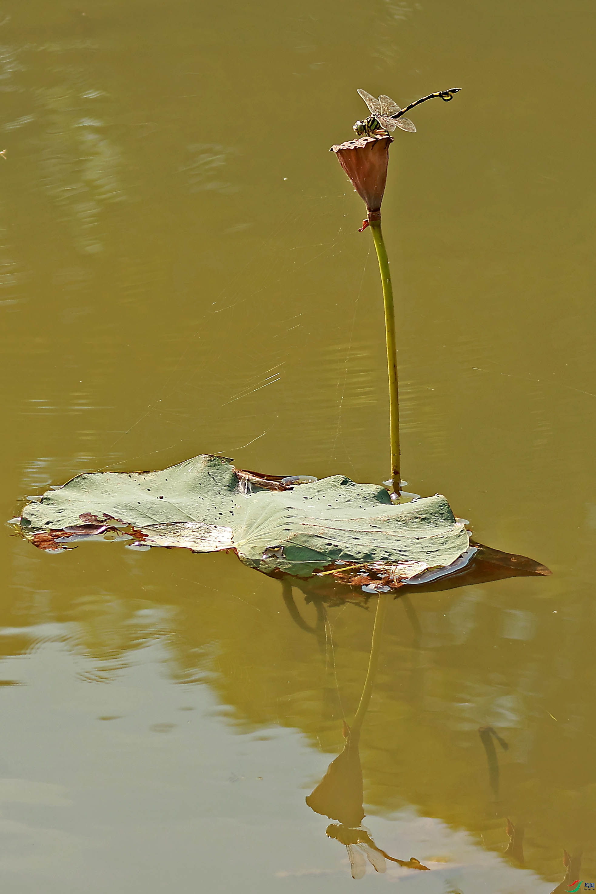 2G9A3450.JPG