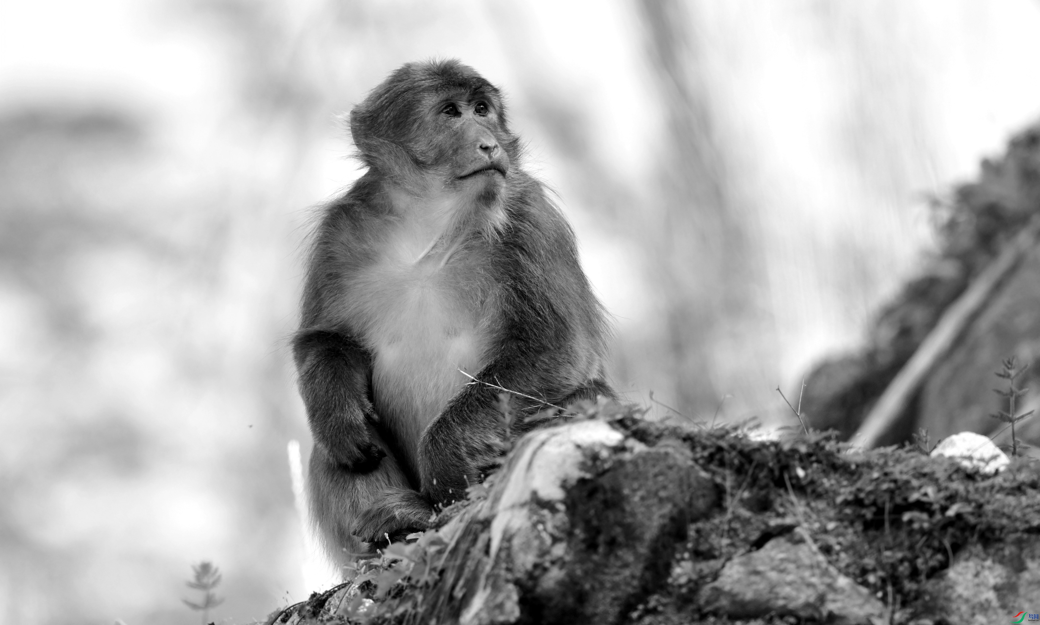 DSC_7007_conew3.jpg