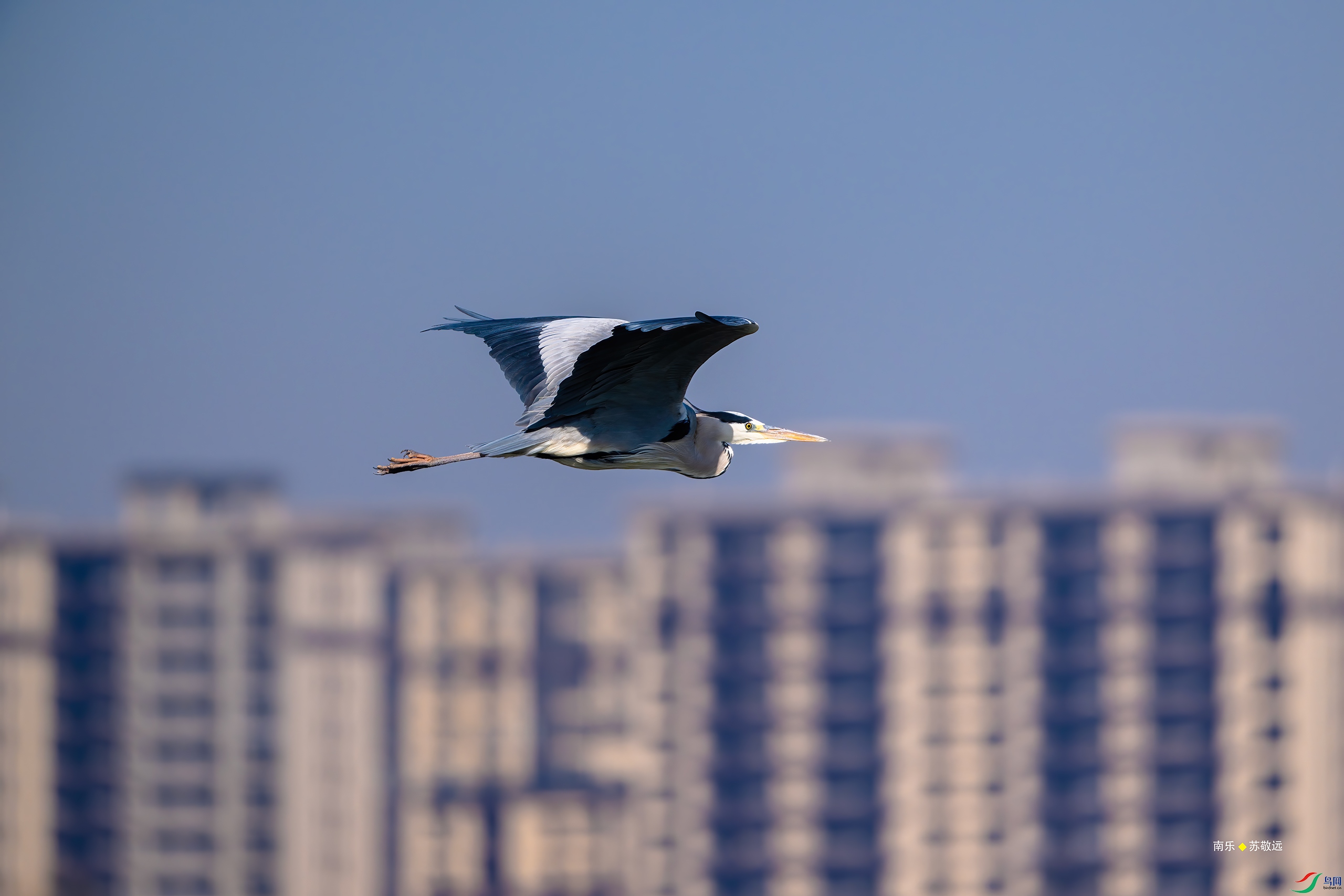 _DSC3958-DxO_С.jpg