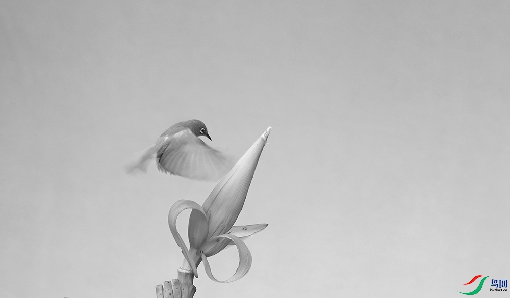 DSCF5229.1.jpg