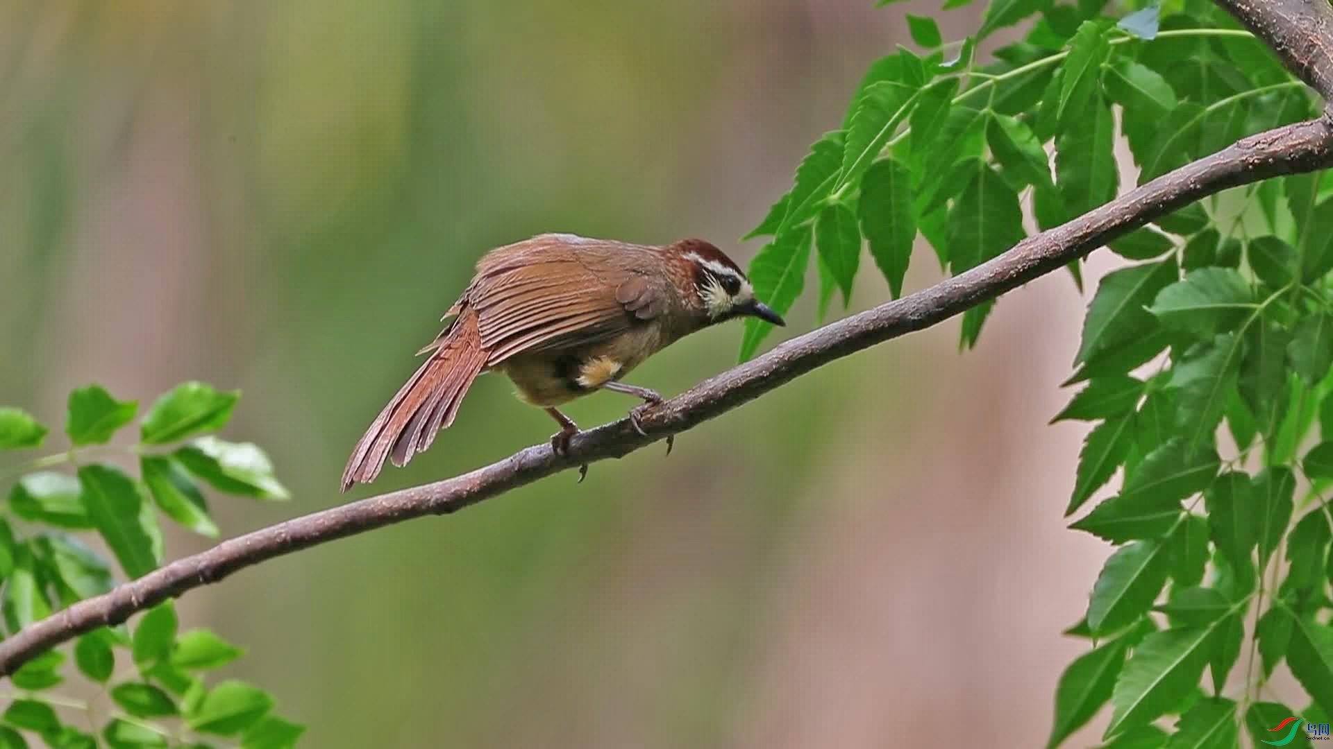 �׼�����image3.jpg