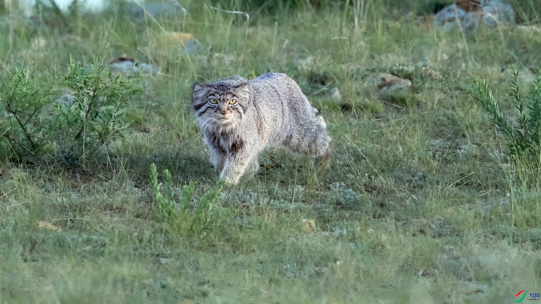 _DSC1931.jpg�Ų���ͥ_����_����.jpg