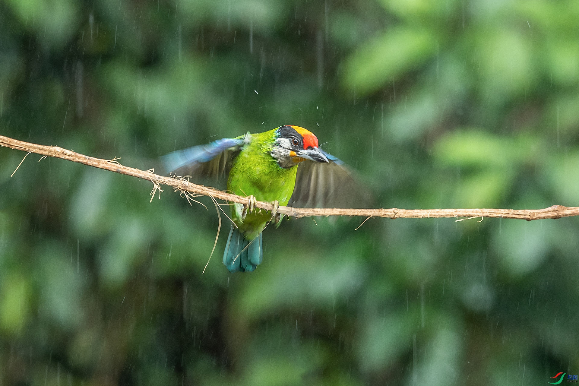 DSC_3954.jpg