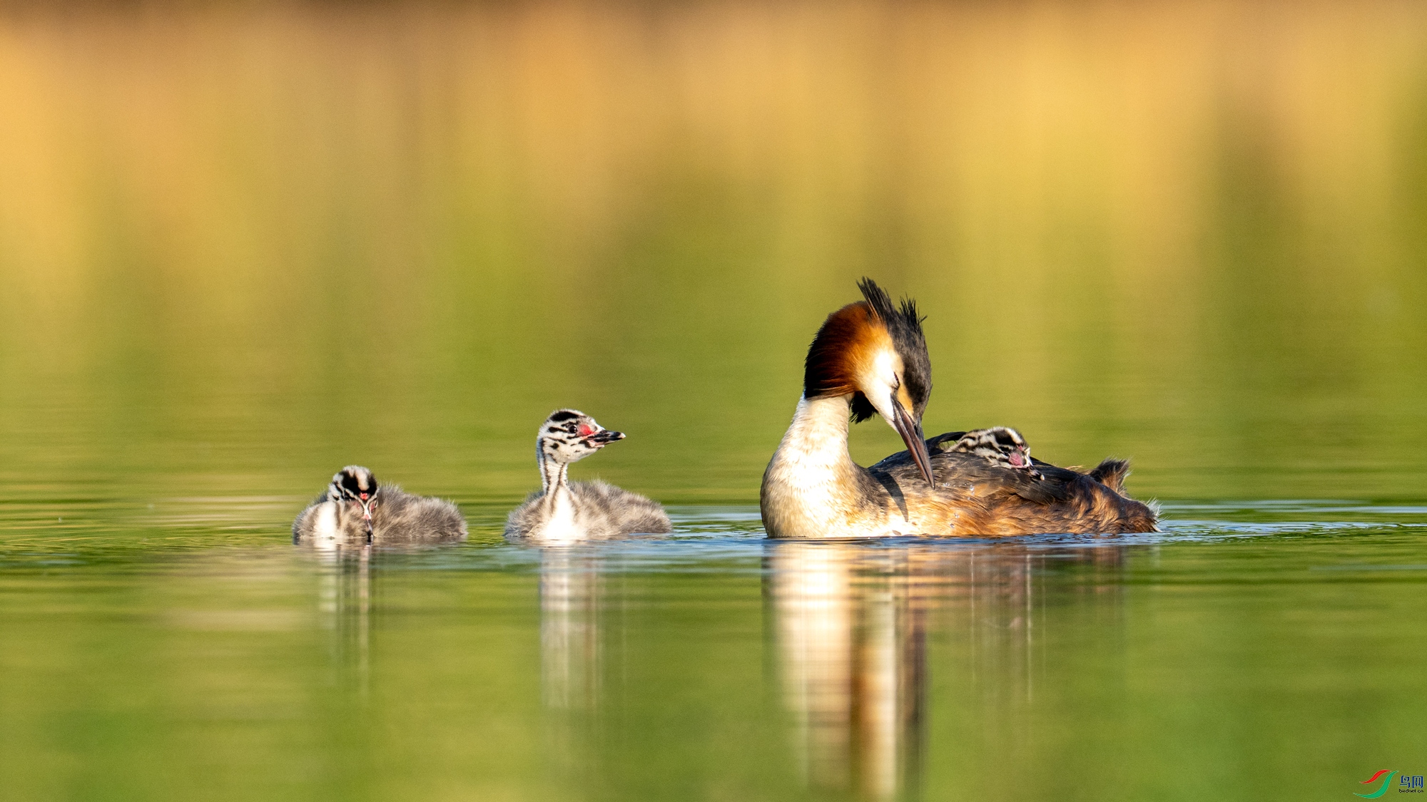 DSC_6671.jpg