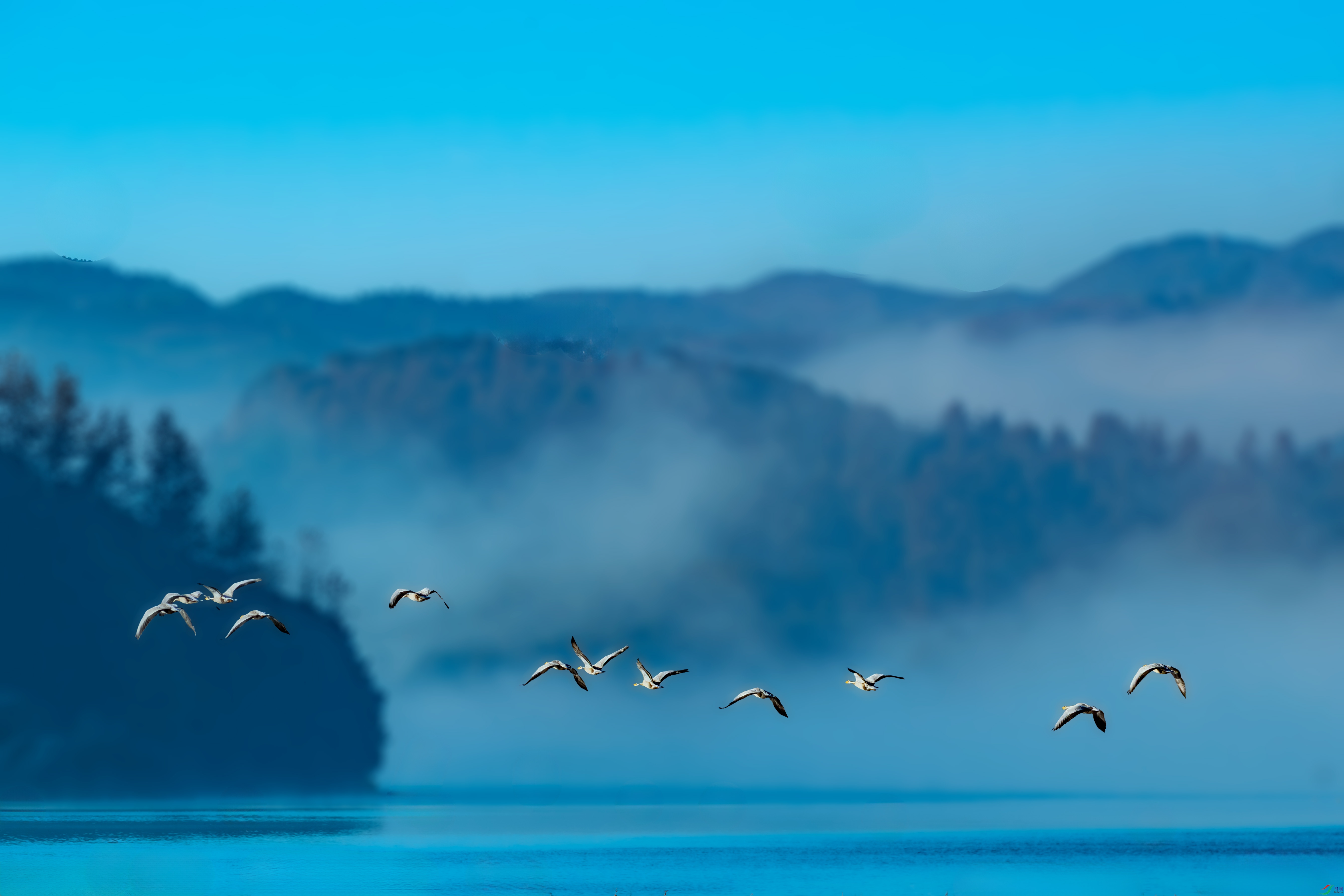 _DSC2055-1.jpg