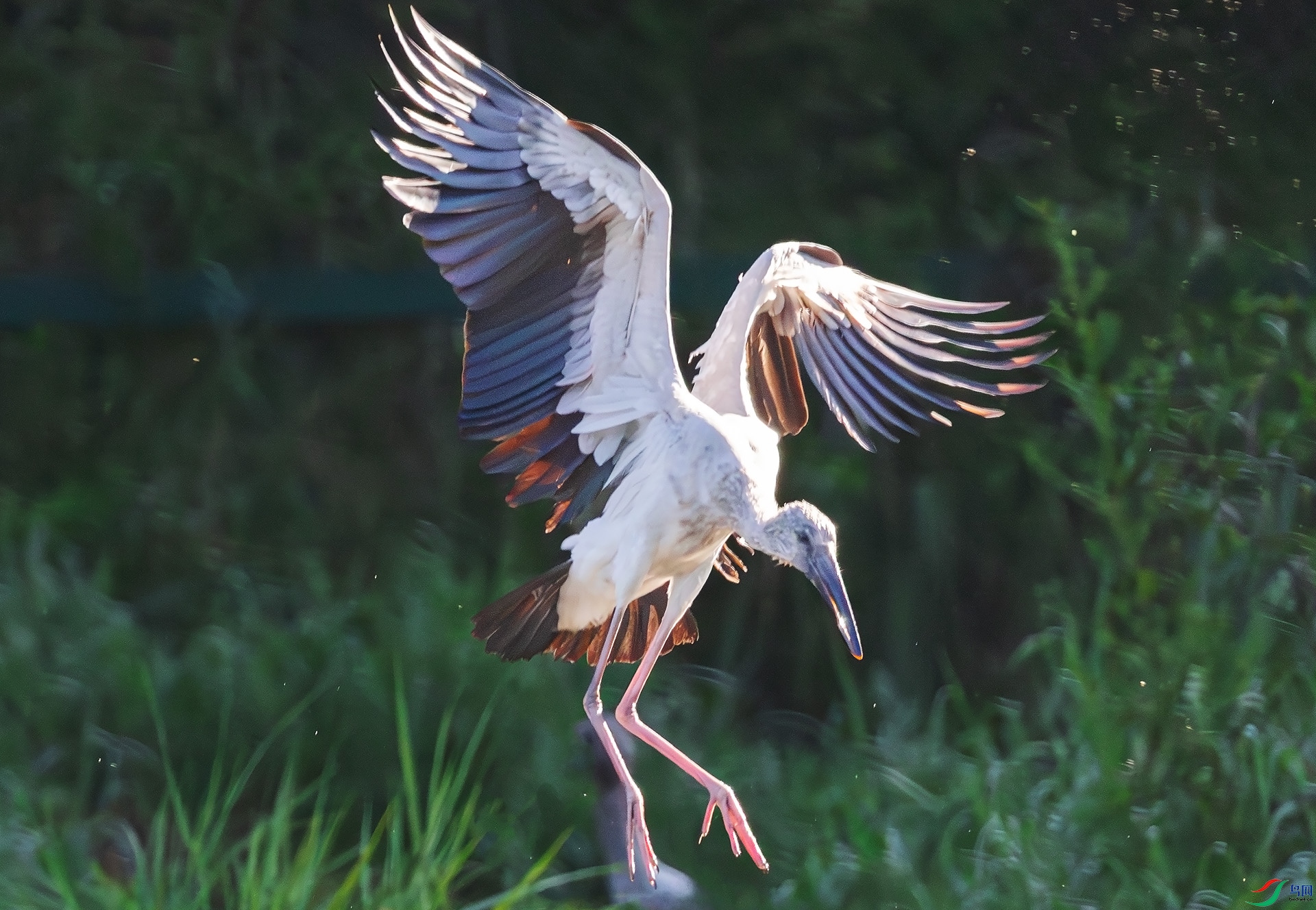 ǯ����