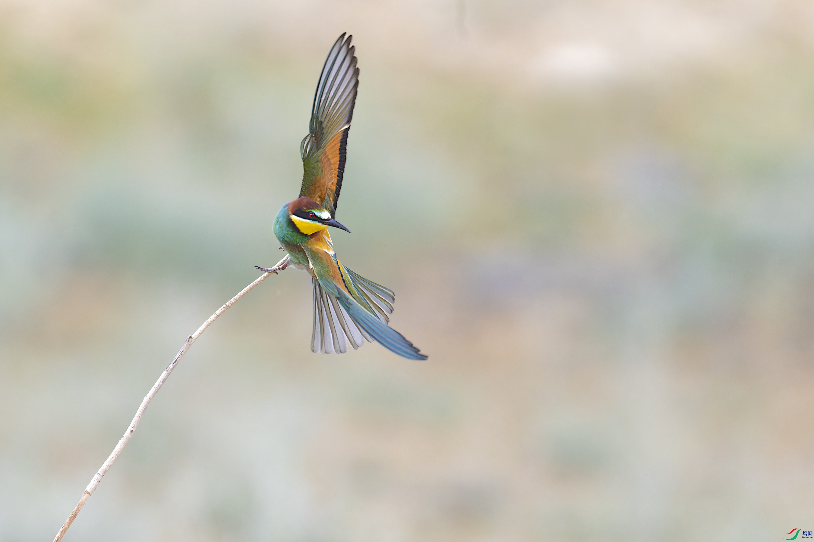 DSC_7751_DxO.jpg