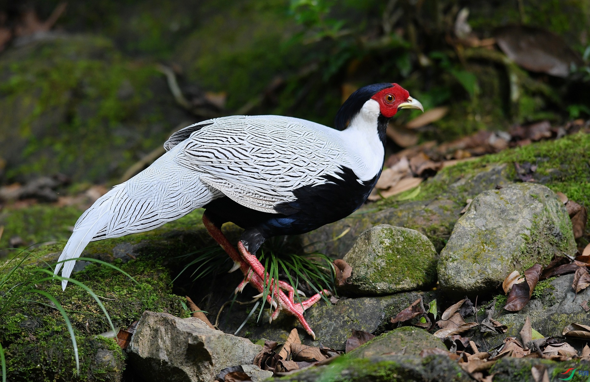 DSC_6764.jpg