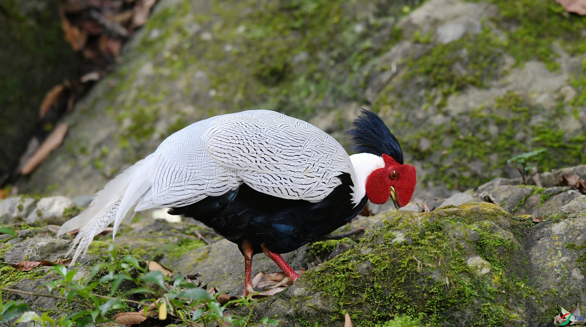 DSC_3935.jpg