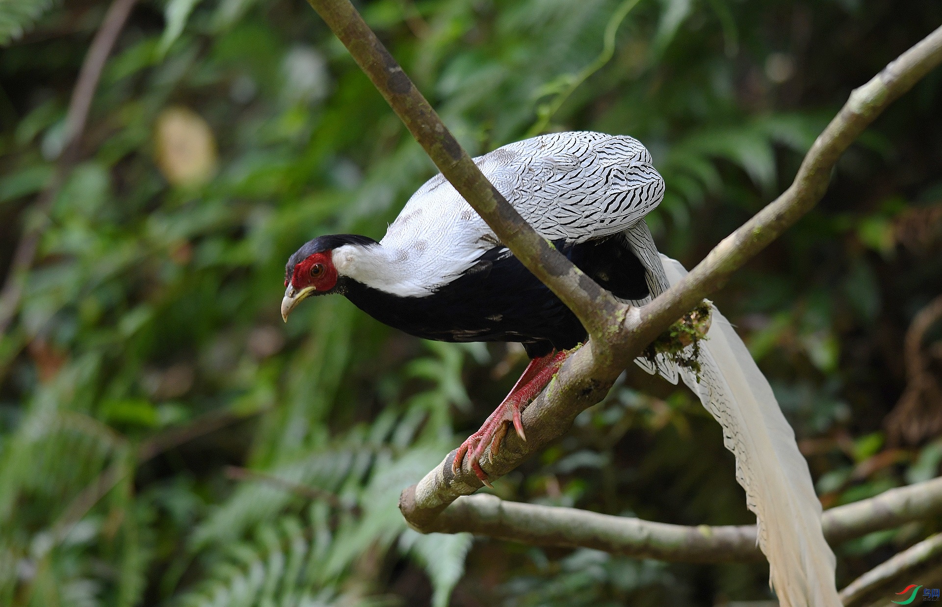 DSC_3335.jpg