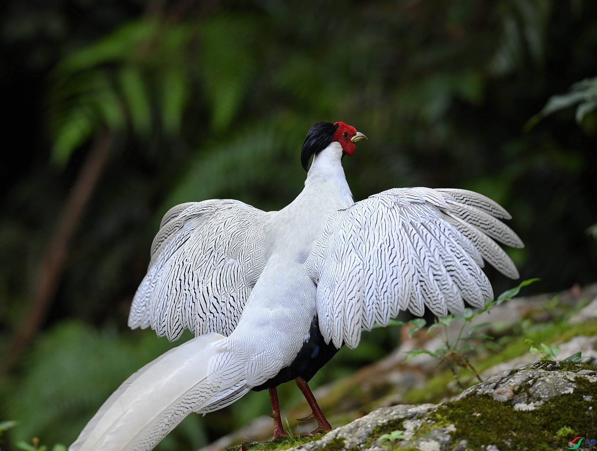 DSC_3247.jpg
