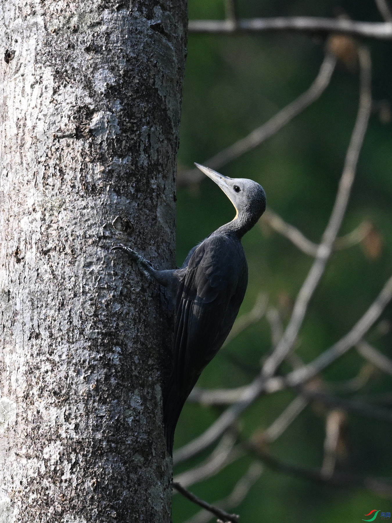 DSC_5441.JPG