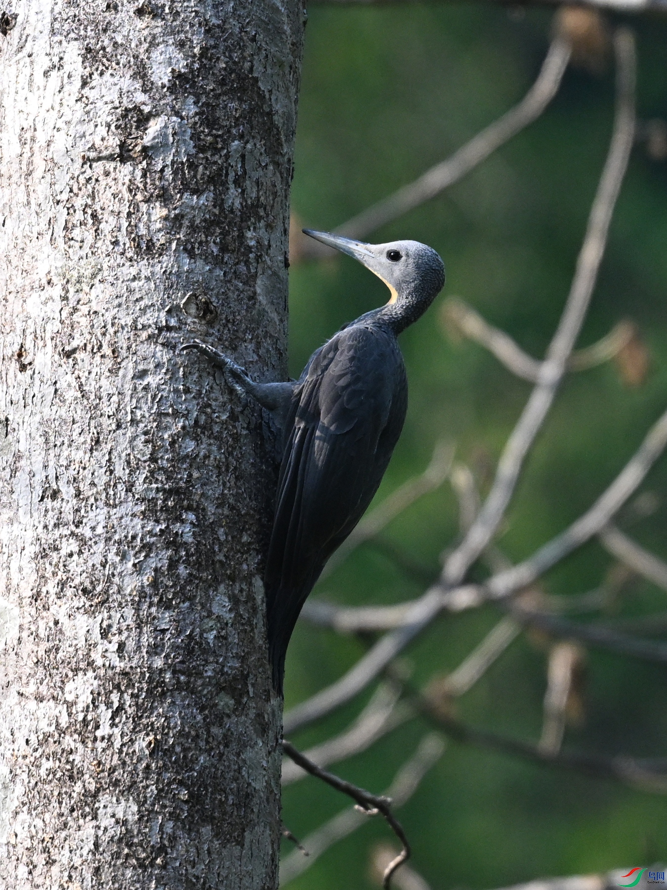 DSC_5445.JPG